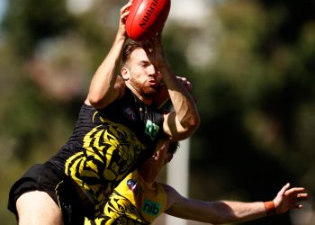 Premiership Tiger arrested, charged with assault after alleged late-night incident