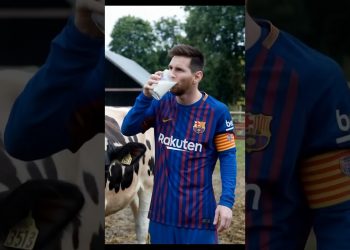 Farmers league #football #league #farm