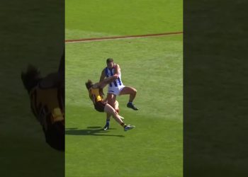 Logue v Day #shorts #holdingthebull #afl #footy #aussierules