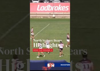 Bears vs Easts NSW Cup 2025 R1 #rugbyleague #nrl  #northsydney