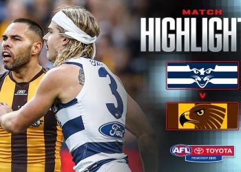 Geelong Cats v Hawthorn Highlights | Round 6, 2025 | AFL