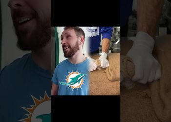 The AFC Playoff Picture #nfl #football #2023 #ravens #chiefs #dolphins #bills #browns #skit #funny