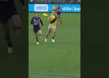 Aish v Mansell #shorts #holdingthebull #afl #footy #aussierules