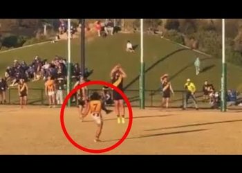 SEAGULL KO'D BY FOOTY BALL! Aussie Rules Match Goes Viral