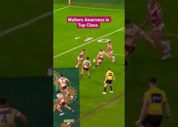 The finish to this short side play is WILD | NRL Highlights, Broncos V Dolphins, Round 24, 2025