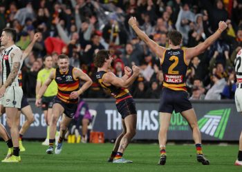 Footy Fix: Fly’s Pies’ plan to take down Adelaide almost works