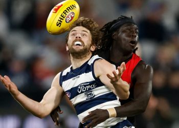 Footy Fix: The Cats might have coasted