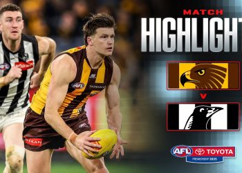 Hawthorn v Collingwood Highlights | Round 22, 2025 | AFL