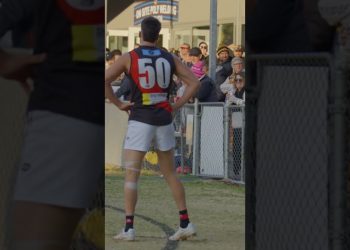 Crowd advice #afl #aussierules #footy #hurstbridge #shorts  #footballclub #football #footyshorts