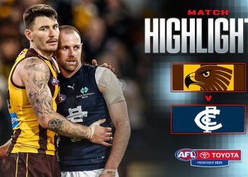 Hawthorn v Carlton Highlights | Round 20, 2025 | AFL