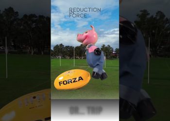 Fun Friday – Aussie Rules Football w/ Puppet Pigs!