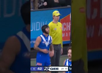 Day 7 of posting random goals, round 20, 2025 #footy #aussierules #australianfootball #afl #aflfooty