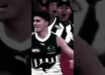 Is Harry Sheezel the best young player? #afl #footy #afl23 #aussierules #northmelbourne #youngguns