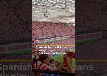 Spanish football fans fly pro-Palestine banner in Champions League