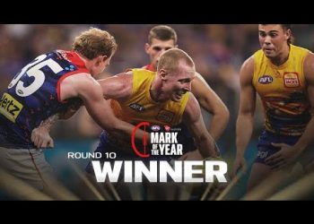 Williams climbs for Mark of the Year nomination | Round 10, 2024 | AFL