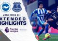 Brighton v. Everton | PREMIER LEAGUE HIGHLIGHTS | 1/31/2026 | NBC Sports