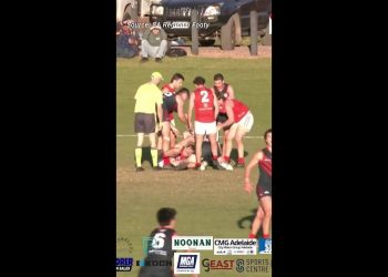 Fevola punch up at local SA footy game
