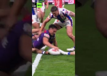 Manaia! #nrl #storm