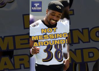 Baltimore Ravens GET CHIPPY with Vikings on Day 1 of joint practices #ravens #baltimoreravens #nfl
