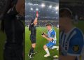 #football #redcard #premierleague #soccer #marriageproposal #cats