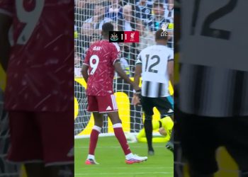 Highlights: Newcastle 2-2 Liverpool