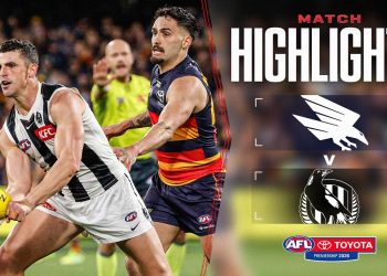 Adelaide Crows v Collingwood Highlights | Round 20, 2026 | AFL