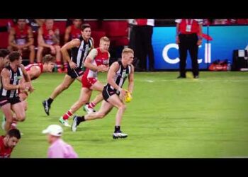 What is AFL? – German Edition